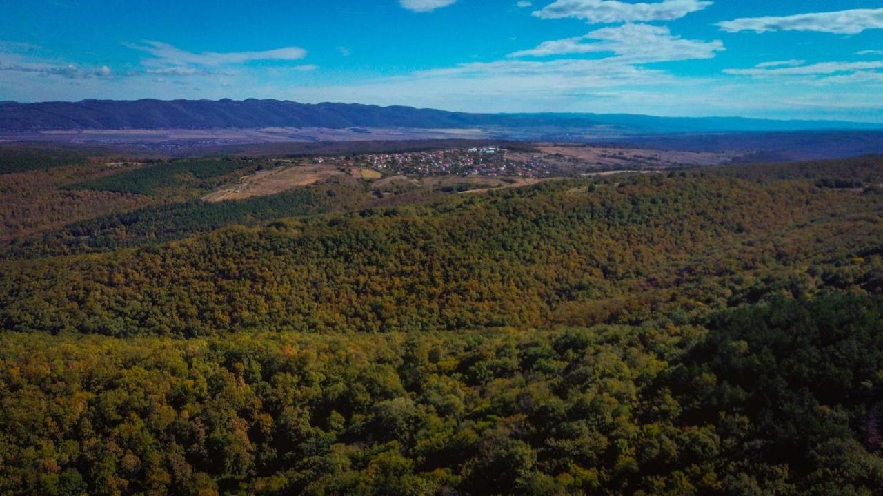 Рибарник Forest Мagic Topolitsa Luaran gambar